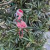 Holiday Flamingo